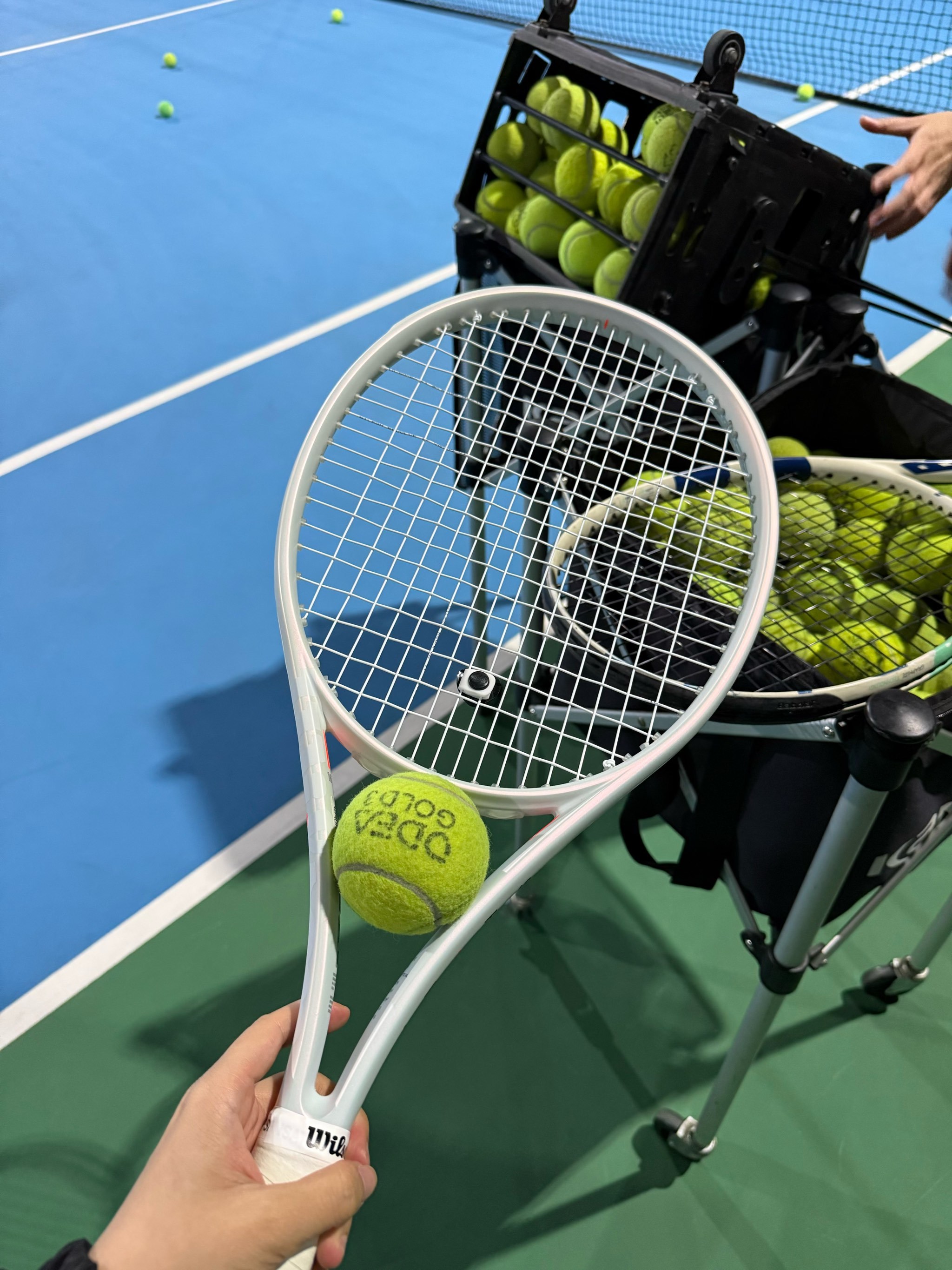 能力显然是 能力显然是