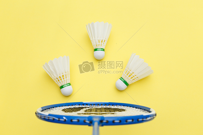 浙江队以及 浙江队以及