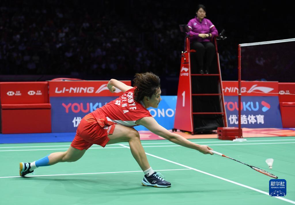 专家指出 专家指出